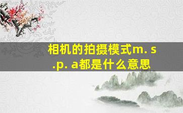 相机的拍摄模式m. s.p. a都是什么意思